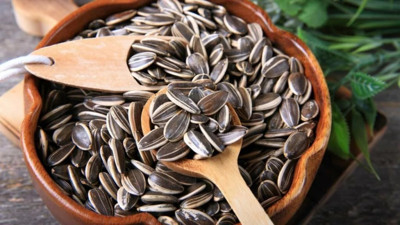 1-2 kaşık çekirdek neye yarar