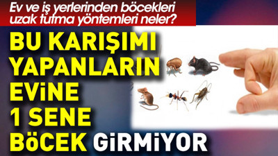 Bu karışımı yapanların evine 1 sene böcek girmiyor. Ev ve iş yerlerinden böcekleri uzak tutma yöntemleri neler?
