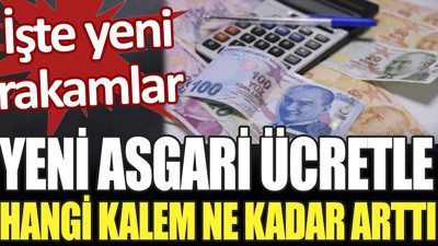 Yeni asgari ücretle hangi kalem ne kadar arttı. İşte güncel rakamlar