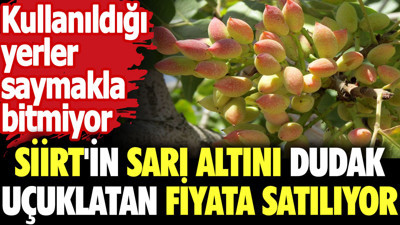 Siirt'in sarı altını dudak uçuklatan fiyata satılıyor. Kullanıldığı yerler saymakla bitmiyor