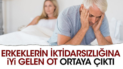 Erkeklerin iktidarsızlığına iyi gelen ot ortaya çıktı