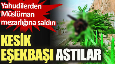 Yahudilerden Müslüman mezarlığına saldırı. Kesik eşek başı astılar