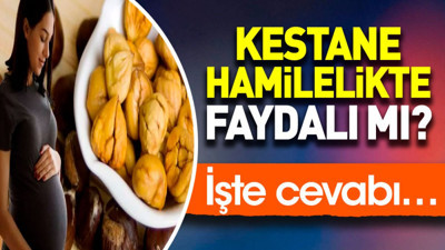 Kestane hamilelikte faydalı mı? İşte cevabı…