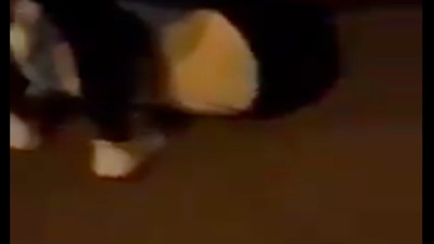 Almanya'da bir göçmen, "Bu Afganistan için" diyerek Alman gencin yüzüne şişeyle vurdu