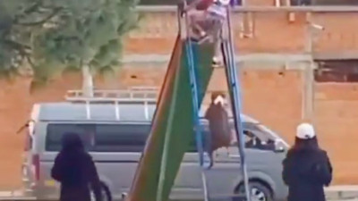 Çocuklarla kaydıraktan kayan köpeğin videosu yürekleri ısıttı