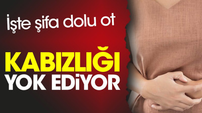 Kabızlığı yok ediyor. İşte dikkat çeken o ot