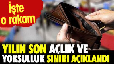 Türk-İş yılın son açlık ve yoksulluk sınırını açıkladı