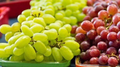 En güçlü hücre yenileyici besin yaşlanmayı önlüyor