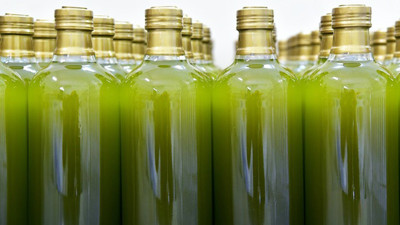 Mucize doğa iksiri Zeytin sütü nasıl üretilir