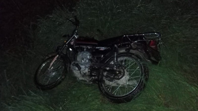 Domuz sürüleri trafiği tehlikeye sokuyor