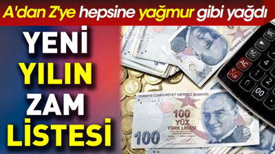 Yeni yılın zam listesi. A'dan Z'ye hepsine yağmur gibi yağdı