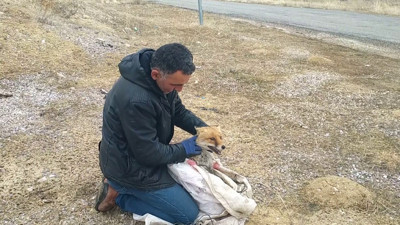 Kümesine dadanan tilkiyi yakaladı. Zarar vermeden doğaya saldı