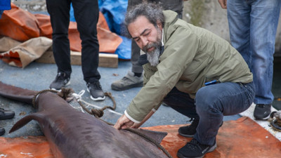 Mersin'de görüldü, vatandaşlar hemen ekipleri aradı. Nesli tehlike altında
