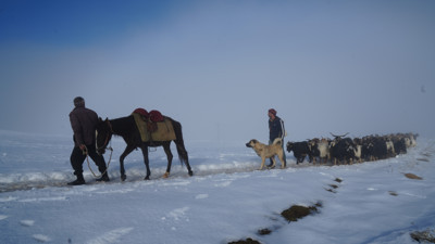Besicilerin keçi sürüsüyle kar üzerinde 4 saatlik zorlu yolculuğu
