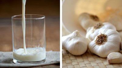 Sütlü sarımsak yenirse ne olur