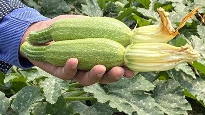 İstanbul'da aralık ayının zam şampiyonu belli oldu (02 Ocak 2024)