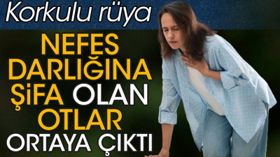 Nefes darlığına şifa olan otlar ortaya çıktı