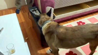 Isıtıcıya saklanan uyuşturucu ‘Cesur’ buldu