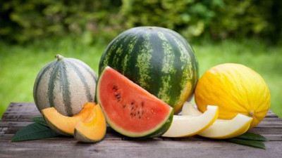 İki dost meyveden önemli haber var