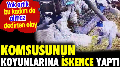Komşusunun koyunlarına işkence yaptı. Yok artık dedirten olay