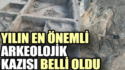 Yılın en önemli arkeolojik kazısı belli oldu