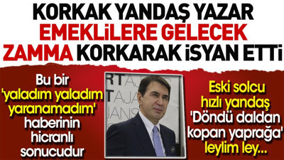 Korkak yandaş yazar emeklilere gelecek zamma korkarak isyan etti. Bu bir 'Yaladım yaladım yaranamadım' haberinin hicranlı sonucudur