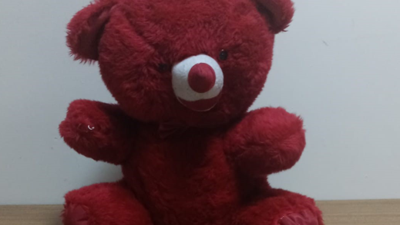 Uyuşturucuları 'pelüş ayı' içerisine sakladı