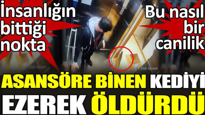 Asansöre binen kediyi ezerek öldürdü. İnsanlığın bittiği nokta. Bu nasıl bir canilik
