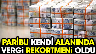 Paribu kendi alanında vergi rekortmeni oldu