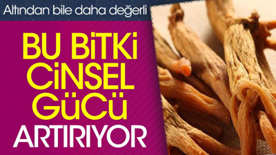 Bu bitki cinsel gücü artırıyor. Altından bile daha değerli