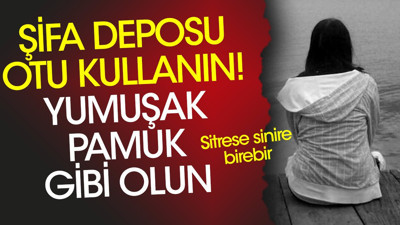 Gerginlik endişe sinir bozukluğu depresyon ve menopoza iyi geliyor. İşte şifa deposu ot