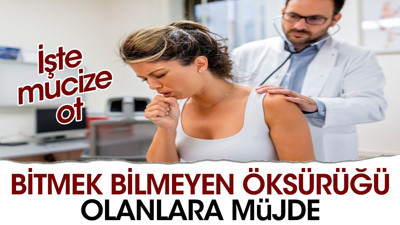 Bitmek bilmeyen öksürüğü olanlara müjde. İşte mucize ot