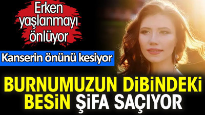 Erken yaşlanmayı önlüyor. Kanserin önünü kesiyor. Burnumuzun dibindeki besin şifa saçıyor