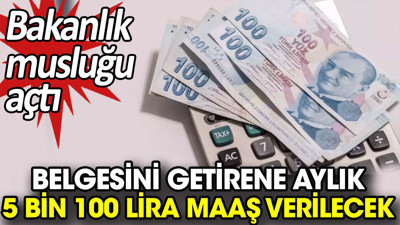 Belgesini getirene aylık 5 bin 100 lira maaş verilecek. Bakanlık musluğu açtı