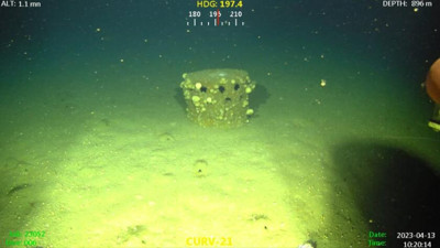 Denizde İkinci Dünya Savaşı döneminden kalma mühimmat bulundu