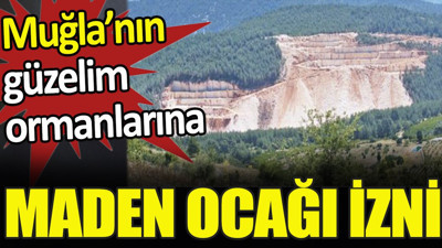 Fethiye’nin güzelim ormanlarına mermer ocağı izni