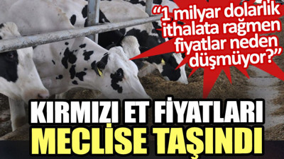 1 milyar dolarlık ithalata rağmen düşmeyen kırmızı et fiyatları meclise taşındı