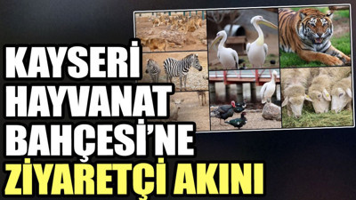 Kayseri Hayvanat Bahçesi’ne ziyaretçi akını
