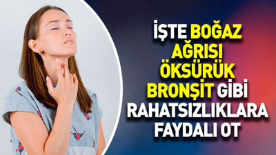 İşte boğaz ağrısı öksürük bronşit gibi rahatsızlıklara faydalı ot
