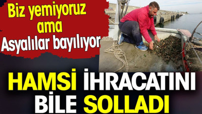 Hamsi ihracatını bile solladı. Biz yemiyoruz ama Asyalılar bayılıyor