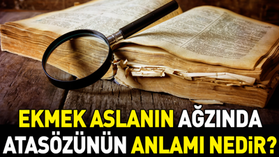 Ekmek aslanın ağzında atasözünün anlamı nedir?