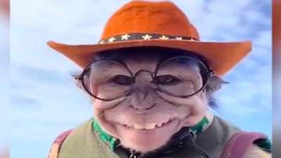 Fotojenik maymun verdiği pozlarla sosyal medyada gündem oldu