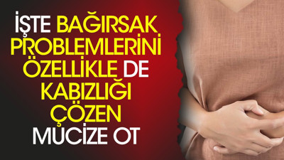 İşte bağırsak problemlerini özellikle de kabızlığı çözen mucize ot