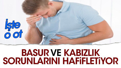 Basur ve kabızlık sorunlarını hafifletiyor. İşte o ot