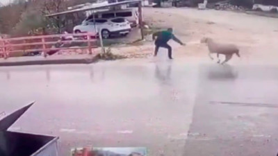 Karşıdan karşıya geçerken koç tarafından saldırıya uğradı, şok oldu