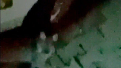 Bolu'da, nesli tükenmekte olan vaşak gözlendi ama şehir içinde gözlendi!