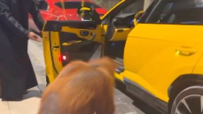 Bir Arap, maymununa lüks aracın kapısını açtı