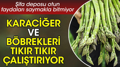 Karaciğer ve böbrekleri tıkır tıkır çalıştırıyor. Şifa deposu otun faydaları saymakla bitmiyor