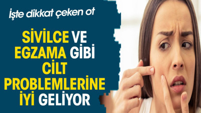 Sivilce ve egzama gibi cilt problemlerine iyi geliyor. İşte dikkat çeken ot