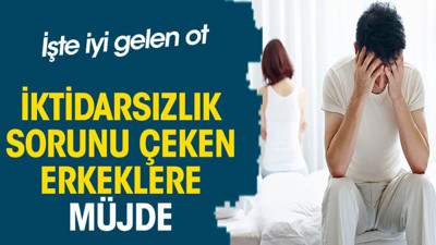 İktidarsızlık sorunu çeken erkeklere müjde. İşte iyi gelen ot